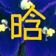 啊哦鹅艺