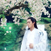 白子画vvbvvc海报