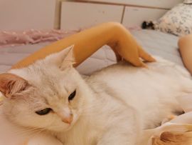 如意啦主播照片