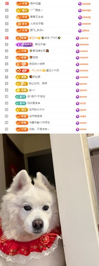 陈慧慧🥕早9晚8主播照片