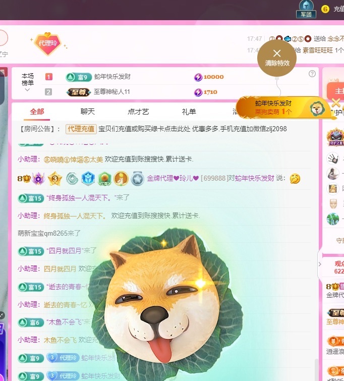 金牌代理❤玲儿❤的图片