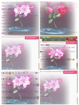冉冉🍀休手机不定时主播照片
