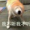 取个名字真难5r的头像