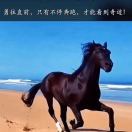小龍小慧靠智大慧靠德的头像