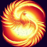 燒不死的鳥头像