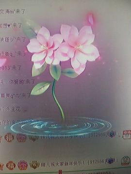 晴儿21的图片