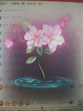 晴儿21的图片