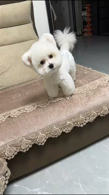 生活就要开开心心，我