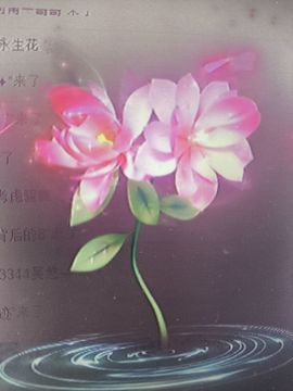 晴儿21的图片