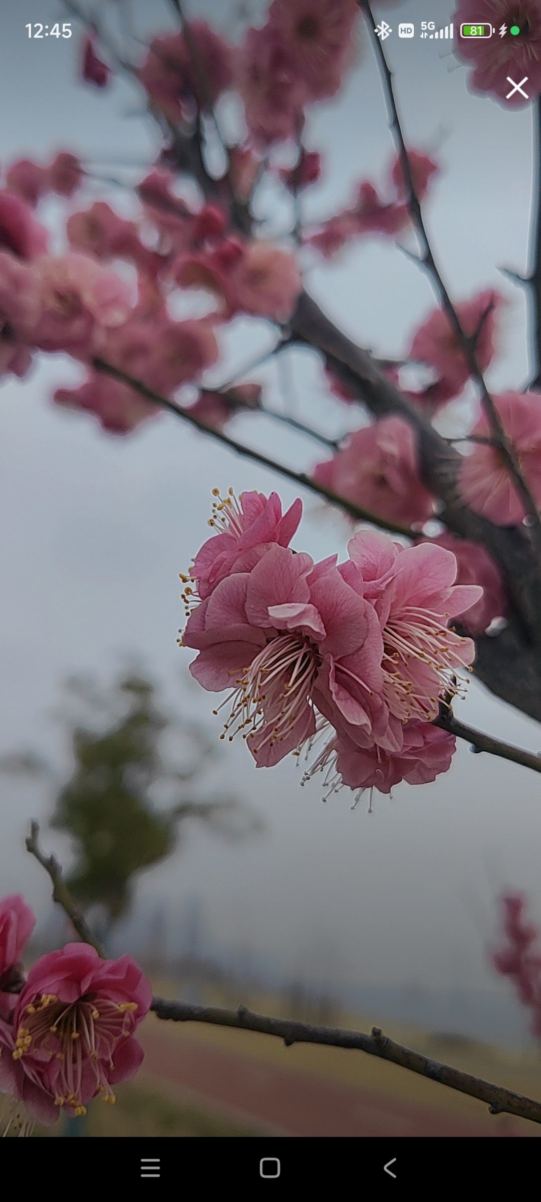 婷婷💕感恩有你陪伴的图片