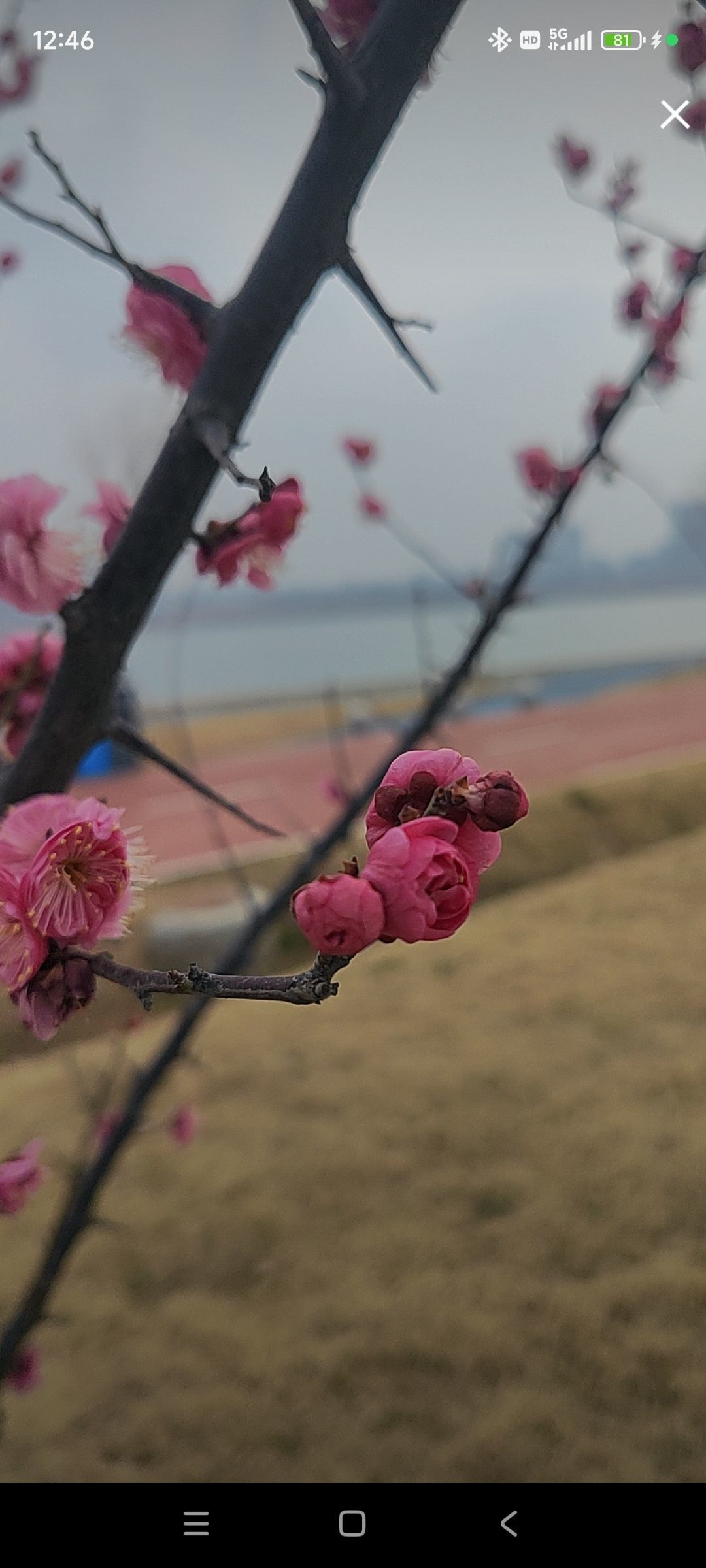 婷婷💕求过月底任务主播图片