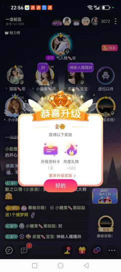 小果果X主播照片