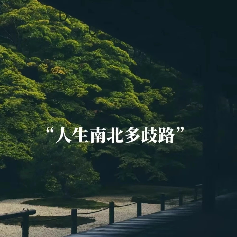 邓某某1h海报