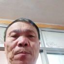 白桦林1872468