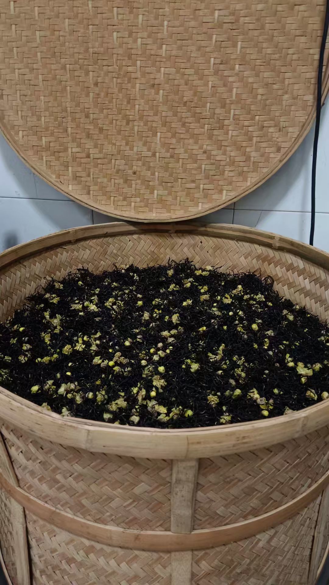 欢乐的栊儿▩的图片