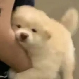 洁儿宝宝~主播照片