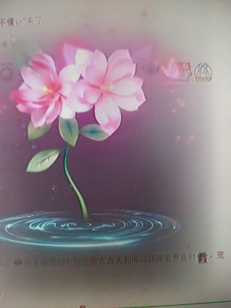 晴儿21主播图片