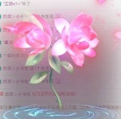 新人甜豆主播照片
