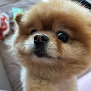 哆哆💋感恩遇见