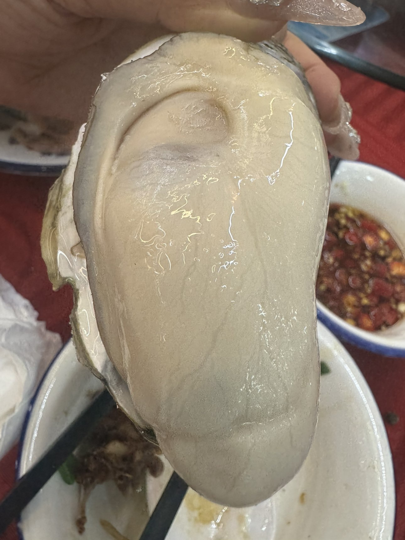 琪绾绾主播图片