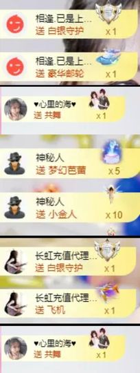 海鸽晚上见主播照片