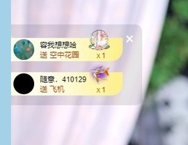 Lily喵的图片