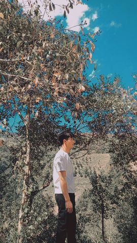 ▦小葛爱看电影▦主播照片