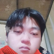 小狗看家的头像