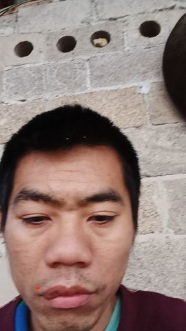 自驾游的变形蛙.主播照片