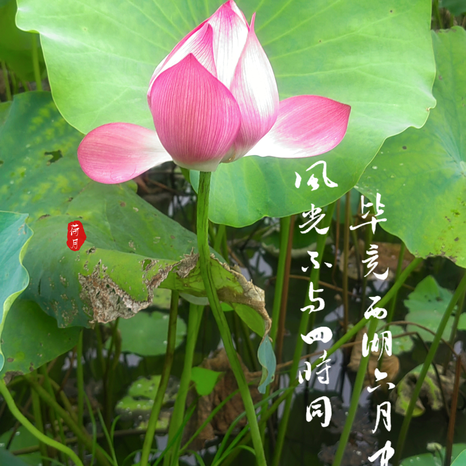 此账号已注销海报