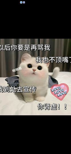 丑小鸭💞愿有一束光主播照片