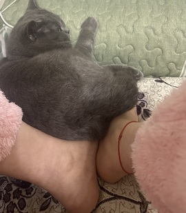 诗蕊💕主播照片