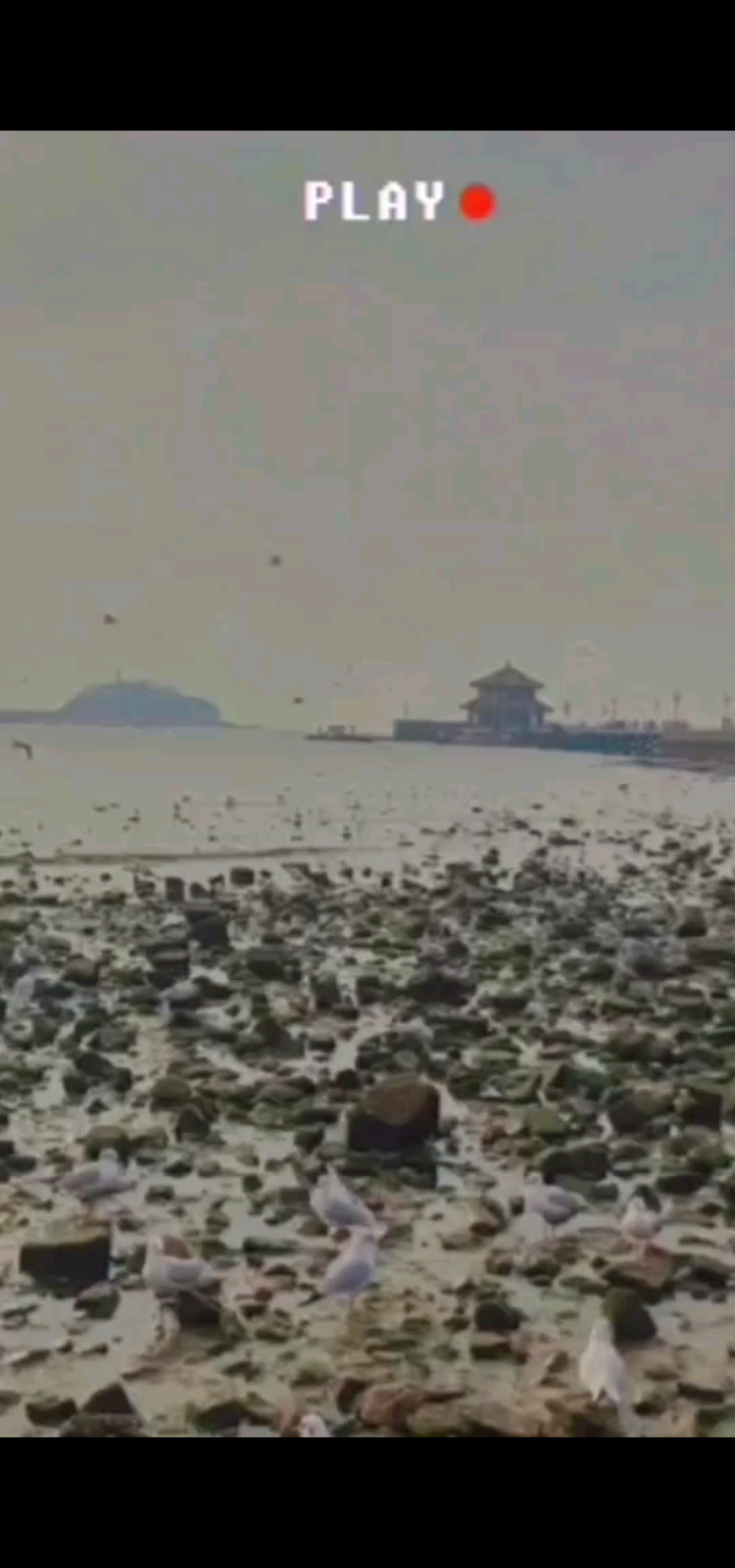青岛一日游
