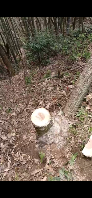清理