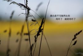 暖情@玻＆璃心主播照片