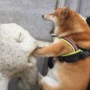日落9分钟