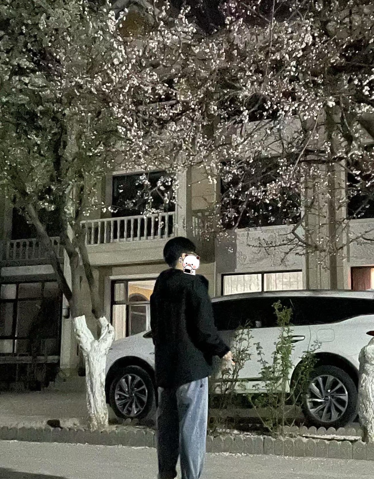小七（陪呆子🐷）的图片