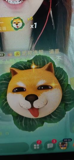 野百合饿晕了🌱🌱主播照片