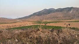 陈平安医院不定时播主播照片