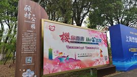 玥儿🌙中午播~主播照片