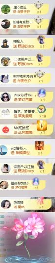 海鸽晚上见主播照片