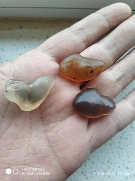 编-终主播照片