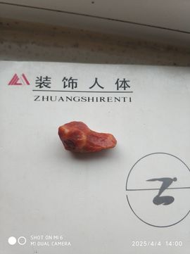 编-终主播照片