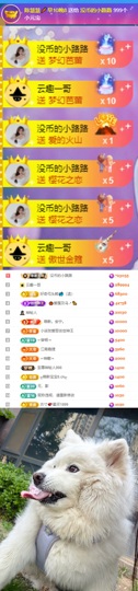 陈慧慧🥕贺图爹帝皇主播照片