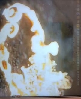 ᰔᩚ.小珠茱主播照片