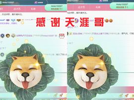 金麒麟好运连连🎤主播照片