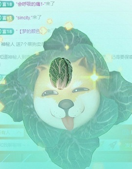 麦麦籽主播照片