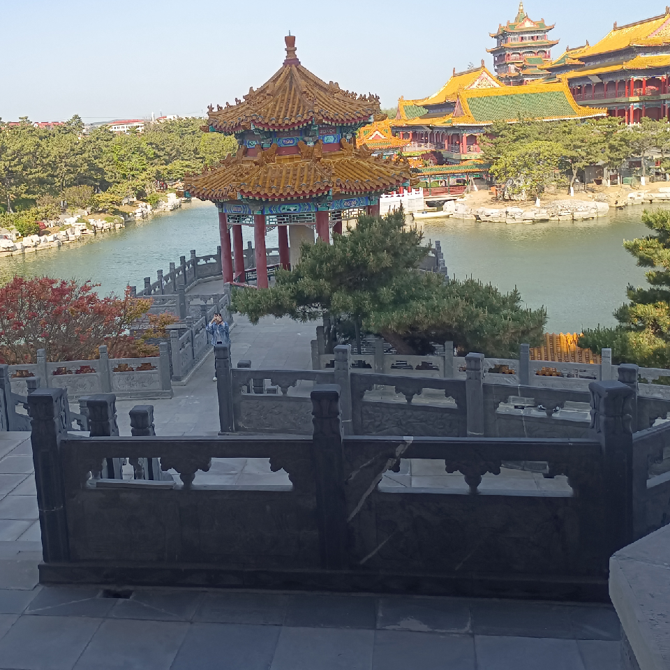 马车大叔海报