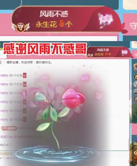 金麒麟安静唱歌🎤主播照片