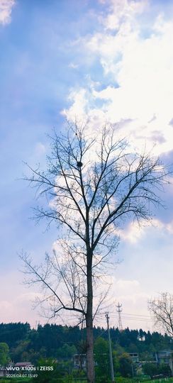 妞妞骑行三亚的图片